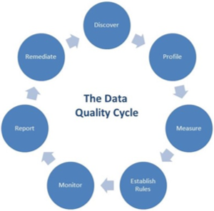 Data Quality Cycle