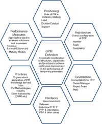 Organizational Project Management