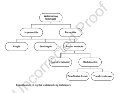 Watermarking Techniques