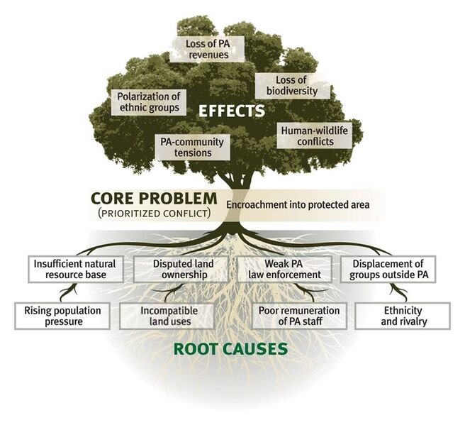 File:Problem Tree.jpg