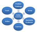 Action learning.jpg