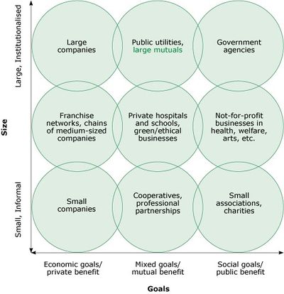 Types of Organization