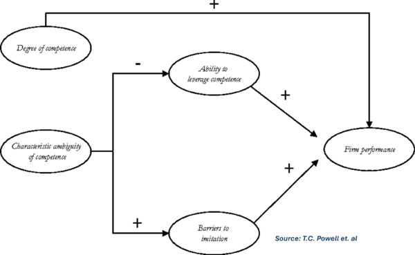 Causal Ambiguity Paradox