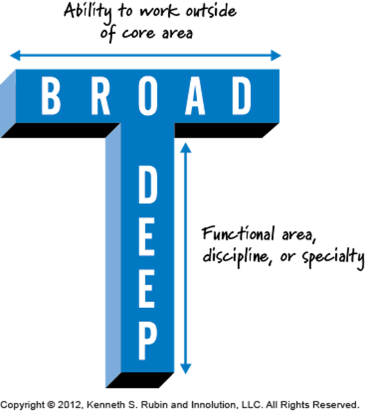 File:T-Shaped Skills.png