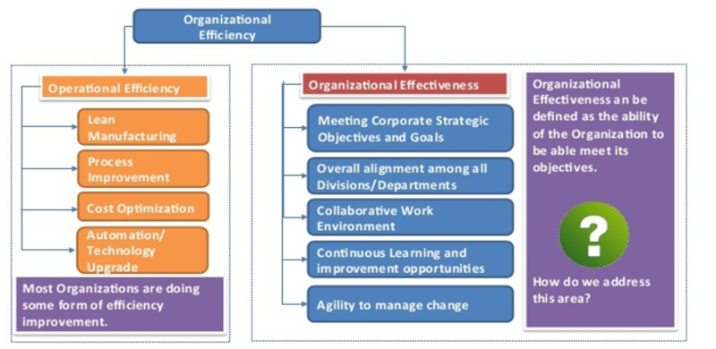 File:Organizational Efficiency.png