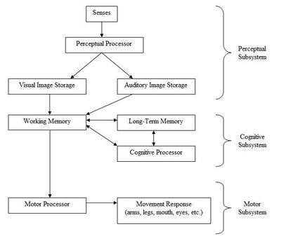 SVG version of Human Processor Model