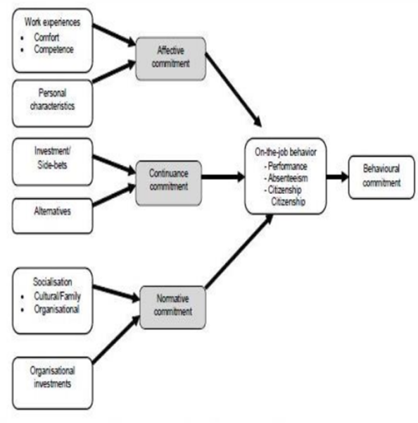 File:Three Component Model.png