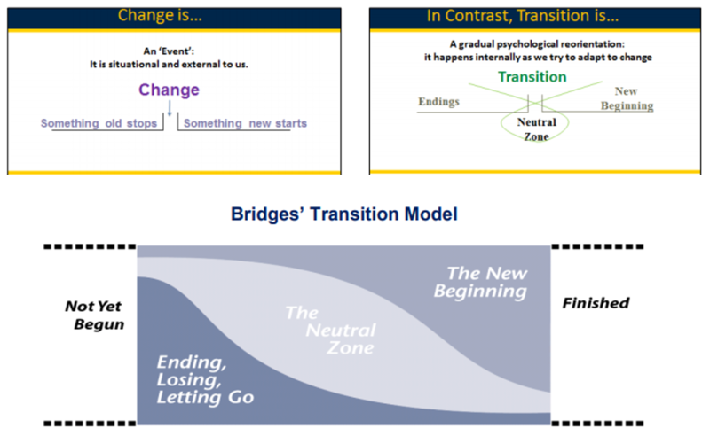 File:Bridges Transition Model.png