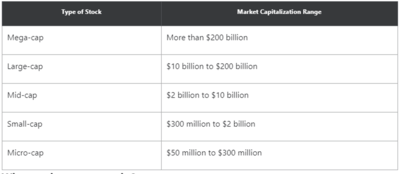 Market Cap Segments