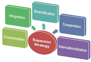 Business Expansion Strategy