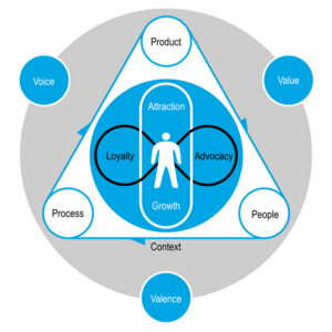 Customer Experience Management (CEM)
