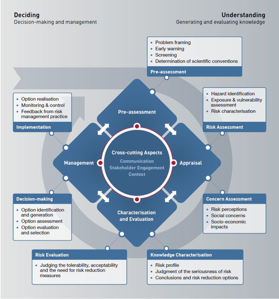 File:Risk Governance Framework.png