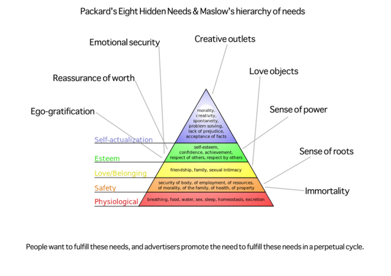 File:8 Hidden Needs.png