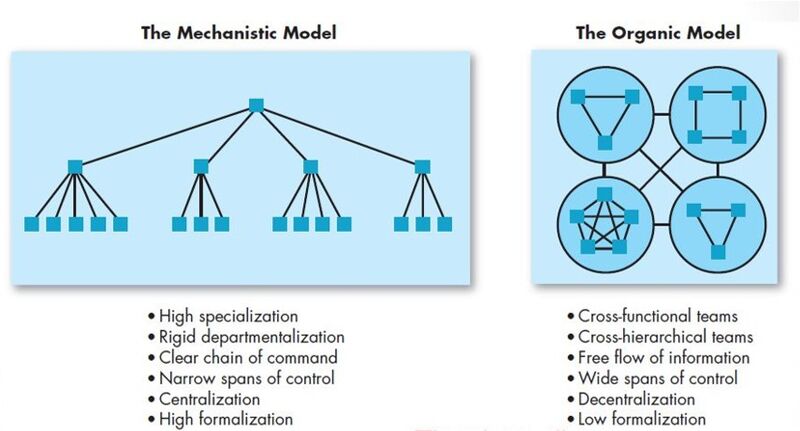 File:Mechanistic Vs. Organic.jpg