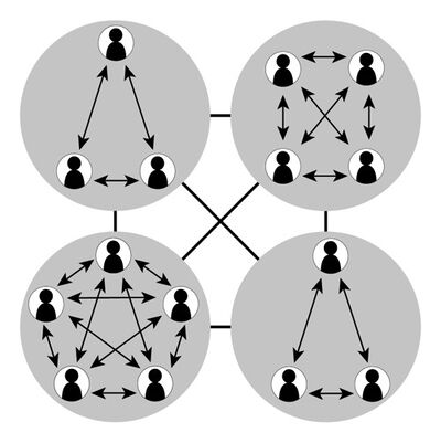 Organic Model of Organization