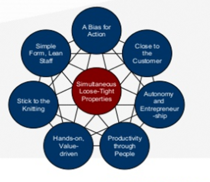 File:8 attribute excellence.png