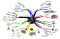 Thumbnail for version as of 15:59, 28 April 2021