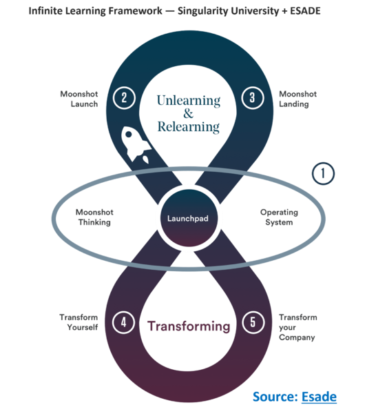 File:Moonshot thinking Framework.png